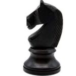 AJEDREZ Benjamines: Entre 2016 y 2017 (entre 8 y 9 años aprox.)